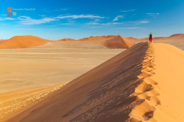 The dune landscape around Dune 45 in the Namib