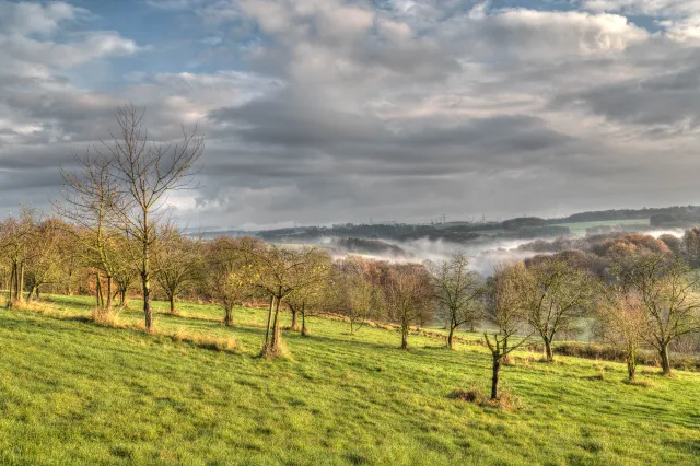 Morgennebel über dem Hanfbachtal