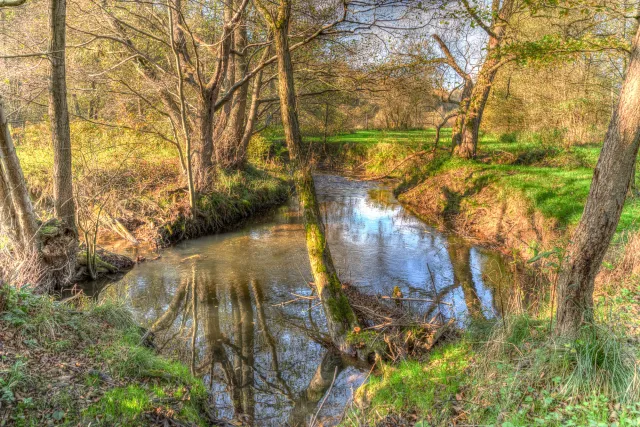 The Hanfcreek near Röttgen