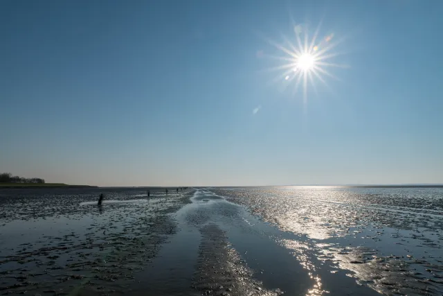 Mud flod trail at low tide in front of Neuwerk