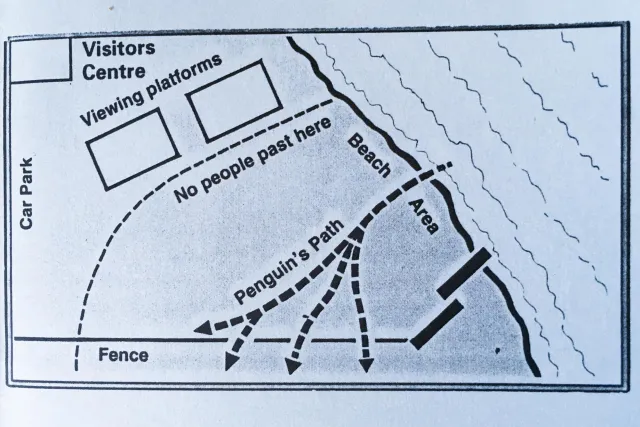 Route map of the penguins