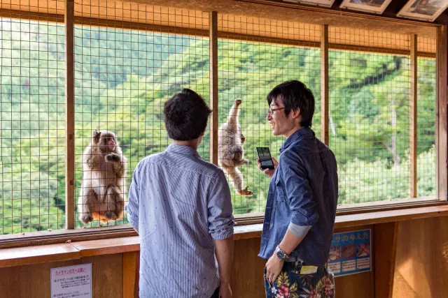 Visitors behind bars