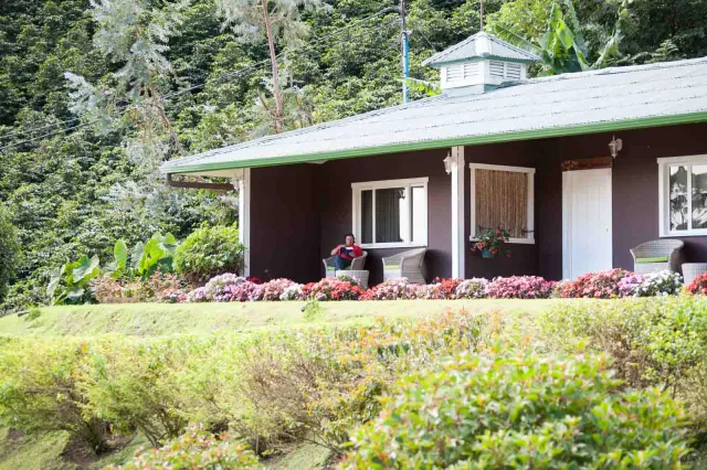 Accommodation in a coffee plantation in Boquete