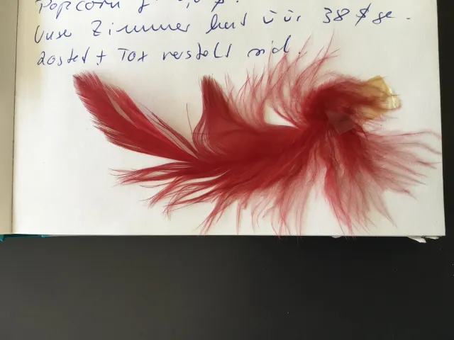 Red feather