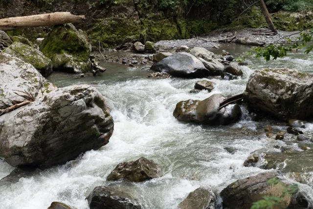 In der Breitachklamm 1/250 s bei f / 5,6