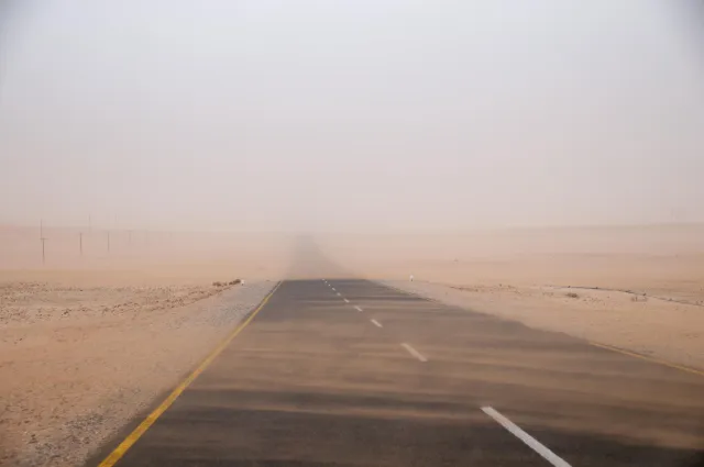 In the sandstorm of the Namib