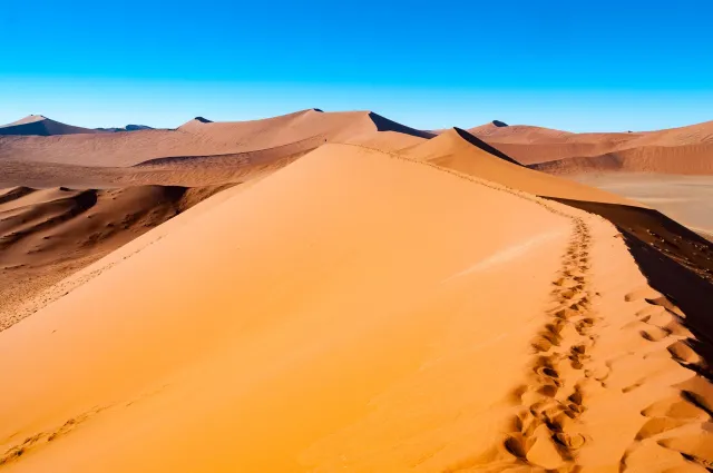 The dune landscape around Dune 45 in the Namib