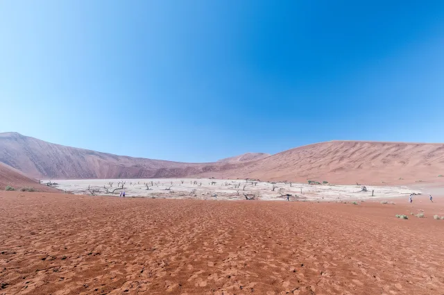 Das Deadvlei