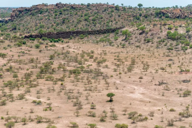 The landscape at the foot of the Mapungubwe hill