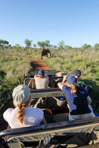 Mit dem Landrover auf Safari