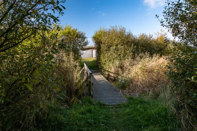 Observation hut on the Beltringharder Koog