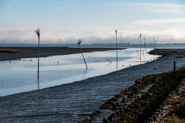 Die Fahrtrinne des Süderhafens von Nordstrand bei Ebbe