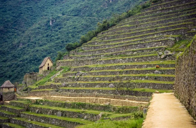 Machu Picchu - today's ruined city of the Incas