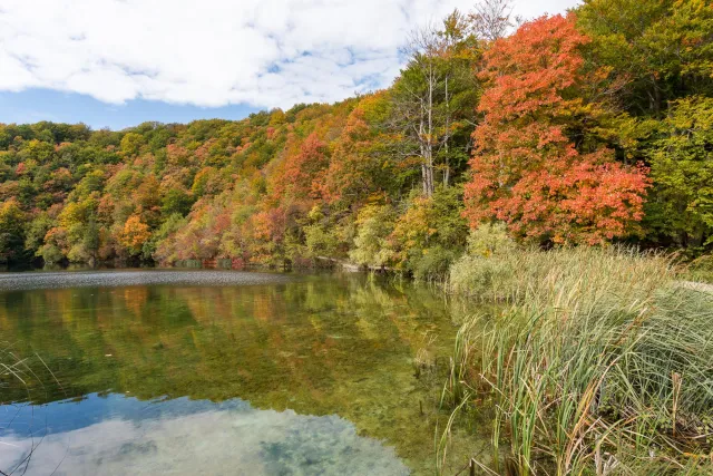 The Plitvice Lakes