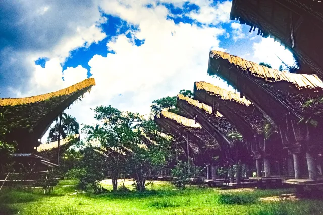 Tongkonan, the impressive houses of the Toraja