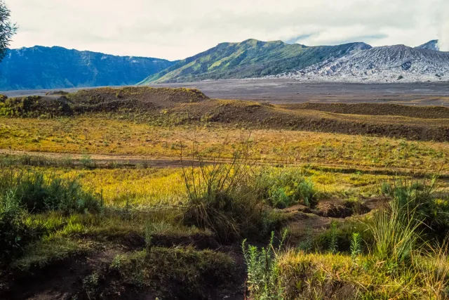 The Bromo plain