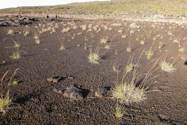 Plain des Sable - the approach to the Piton de la Fournaise