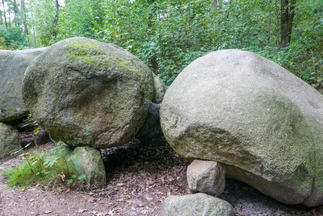 De hoogen Steener (high German: the high stones) north of Werlte with the Sprockhoff no. 830