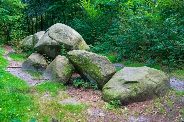 De hoogen Steener (high German: the high stones) north of Werlte with the Sprockhoff no. 830