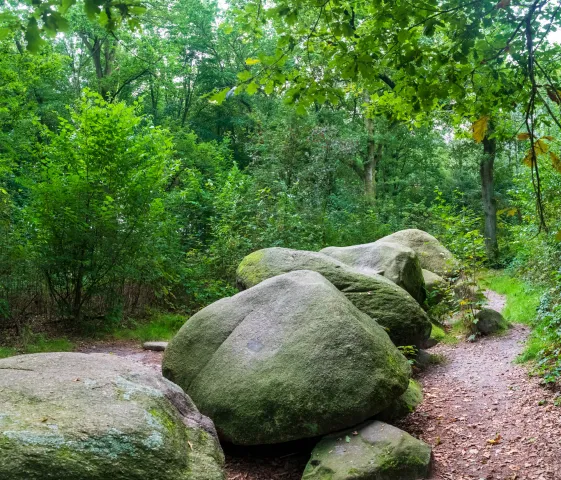 De hoogen Steener (high German: the high stones) north of Werlte with the Sprockhoff no. 830