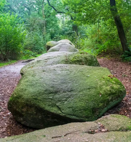 De hoogen Steener (high German: the high stones) north of Werlte with the Sprockhoff no. 830