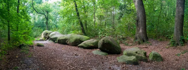 De hoogen Steener (high German: the high stones) north of Werlte with the Sprockhoff no. 830