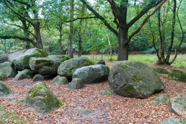 The royal tomb of Groß Berßen, also known as Groß-Berßen VIII, is a Neolithic passage grave with the Sprockhoff no. 860