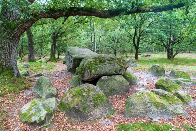 The royal tomb of Groß Berßen, also known as Groß-Berßen VIII, is a Neolithic passage grave with the Sprockhoff no. 860