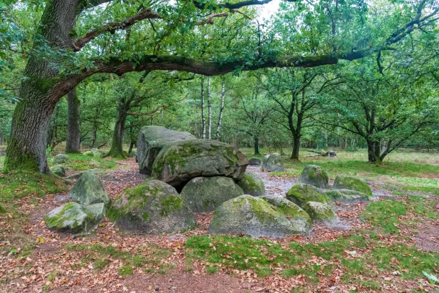 The royal tomb of Groß Berßen, also known as Groß-Berßen VIII, is a Neolithic passage grave with the Sprockhoff no. 860