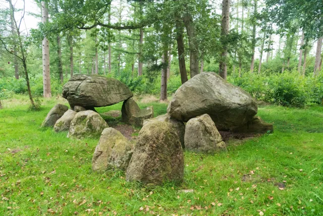 Die Poldenhünensteine in der Gemeinde Spahnharrenstätte mit der Sprockhoff-Nr. 829