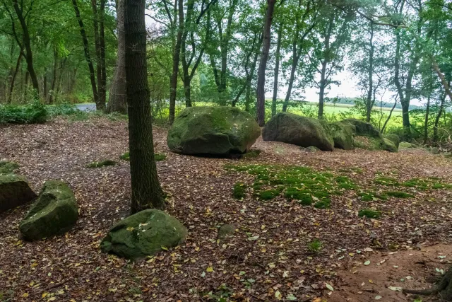 Large cairn in Ipeken I - fir forest with the Sprockhoff no. 856