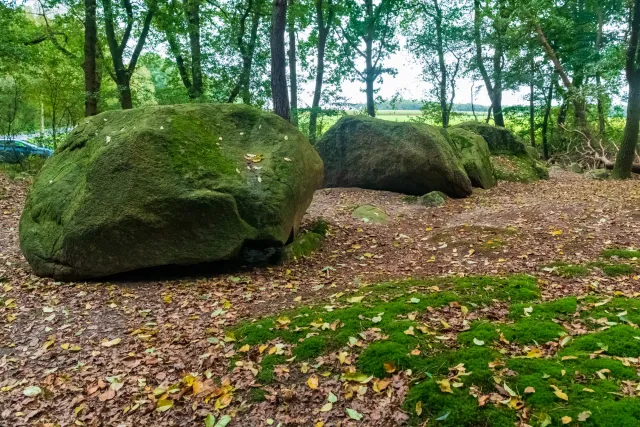 Large cairn in Ipeken I - fir forest with the Sprockhoff no. 856