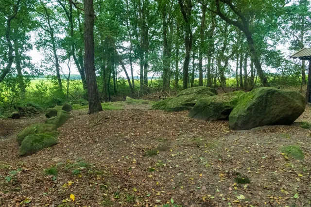 Large cairn in Ipeken I - fir forest with the Sprockhoff no. 856