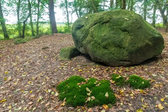 Large cairn in Ipeken I - fir forest with the Sprockhoff no. 856