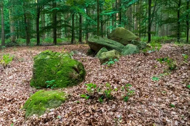 Großsteingrab Lahn