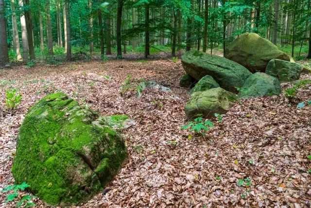 Großsteingrab Lahn