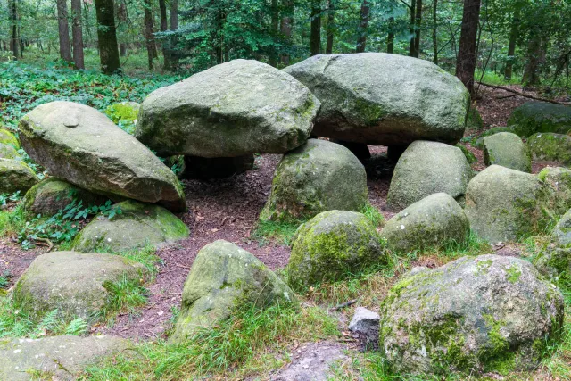 Das Großsteingrab in der Kunkenvenne, auch Großsteingrab von Thuine genannt, Sprockhoff-Nr. 874