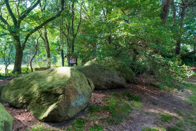 Großsteingrab an den Hünensteinen bei Werlte 