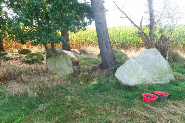 Large cairn at the Kölkesdose (Lahn IV) near Lahn with the Sprockhoff no. 837