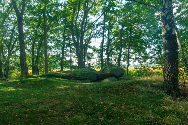 The megalithic tomb Hüven-Süd with the Sprockhoff no. 843