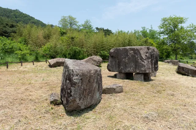 Dolmens at the Gochang Dolmen Museum