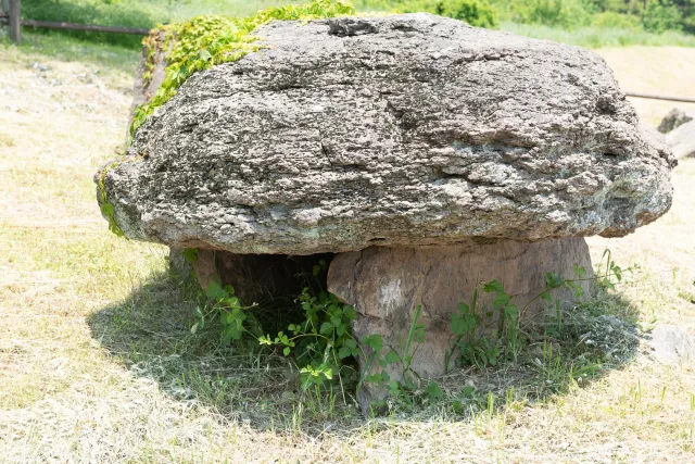 Dolmen im Gochang Dolmen Museum