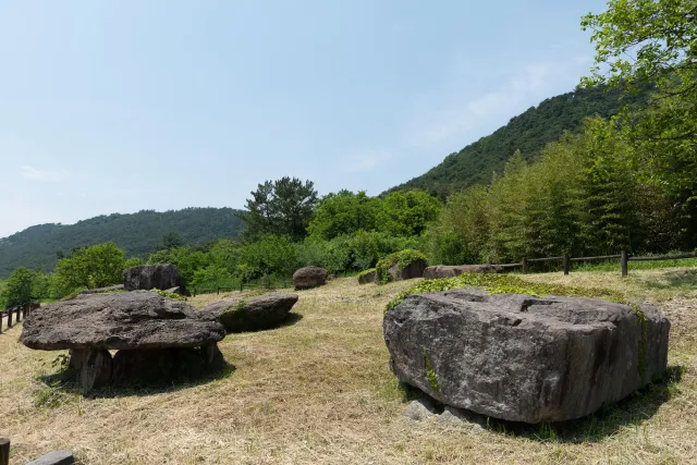 Dolmens at the Gochang Dolmen Museum