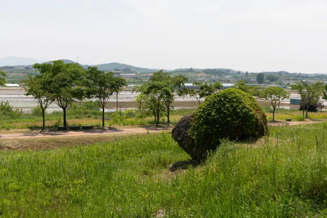 Dolmen im Gochang Dolmen Museum