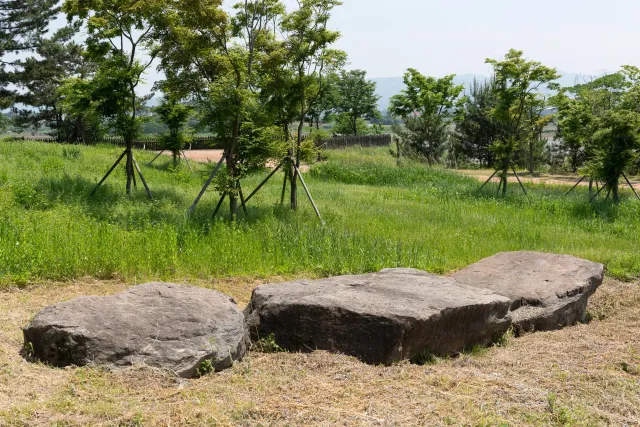 Dolmens at the Gochang Dolmen Museum