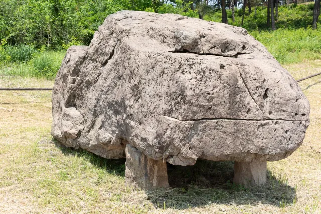 Dolmens at the Gochang Dolmen Museum