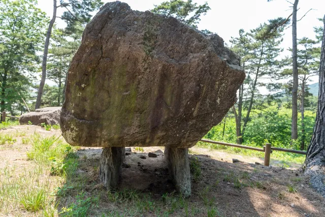 Dolmens at the Gochang Dolmen Museum