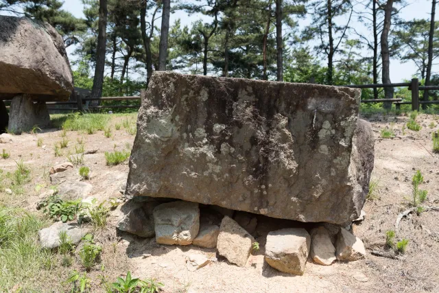 Dolmens at the Gochang Dolmen Museum