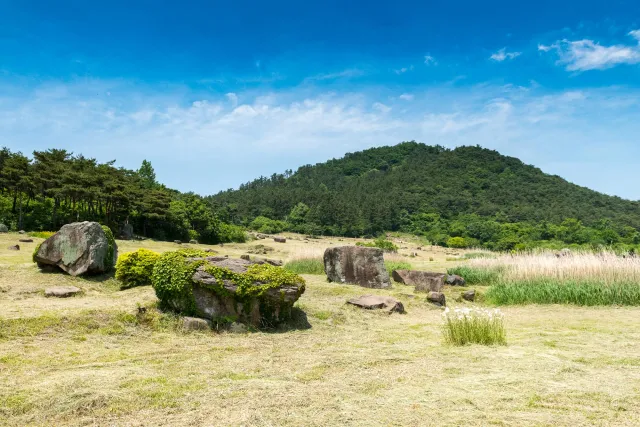 Dolmens at the Gochang Dolmen Museum