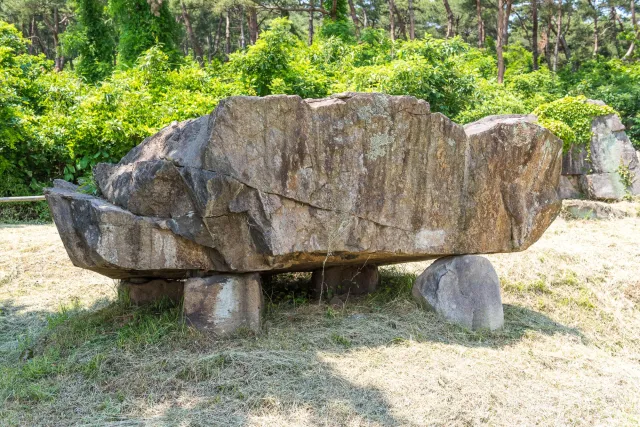 Dolmens at the Gochang Dolmen Museum